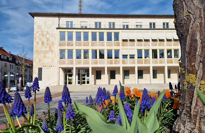 Traubenhyazinthen und Veilchen, im Hintergrund das Neu-Ulmer Rathaus